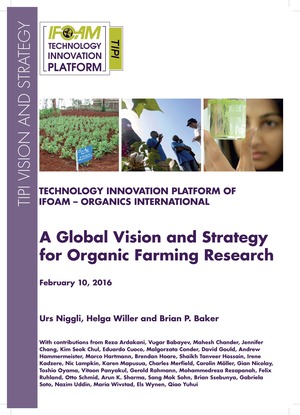 Cover of the TIPI Vision and Strategy